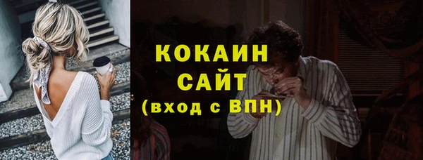 амф Ельня
