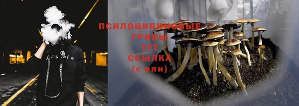 ГАЛЛЮЦИНОГЕННЫЕ ГРИБЫ Заволжск