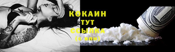 синтетический гашиш Заводоуковск
