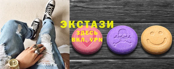 амф Ельня