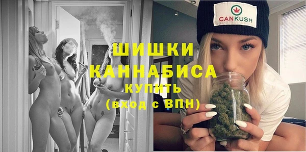 синтетический гашиш Заводоуковск