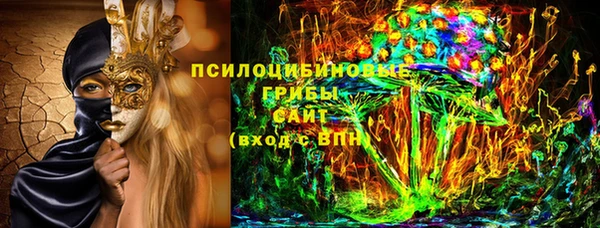 синтетический гашиш Заводоуковск