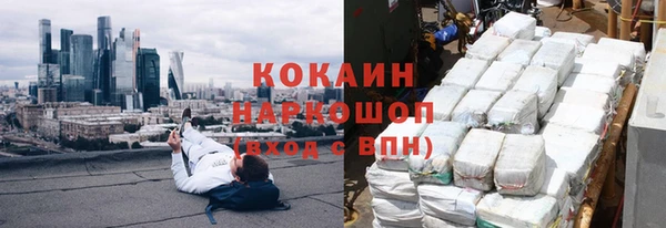амф Ельня