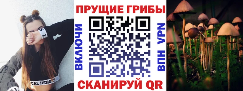 Псилоцибиновые грибы MAGIC MUSHROOMS  Купить закладки  Михайлов 